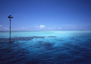 八戸駅前に位置する快適なビジネスホテル【東横INN八戸駅前】の完全ガイド